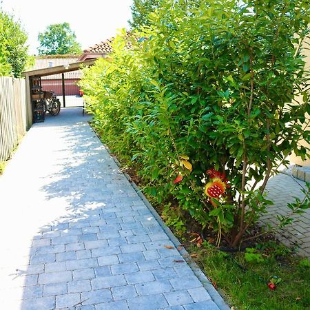Villa Am Steinhuder Meer Dz-Margarite- Mit Kl Pantry Kueche, Garten, Wlan מראה חיצוני תמונה